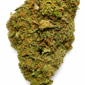 AMNESIA