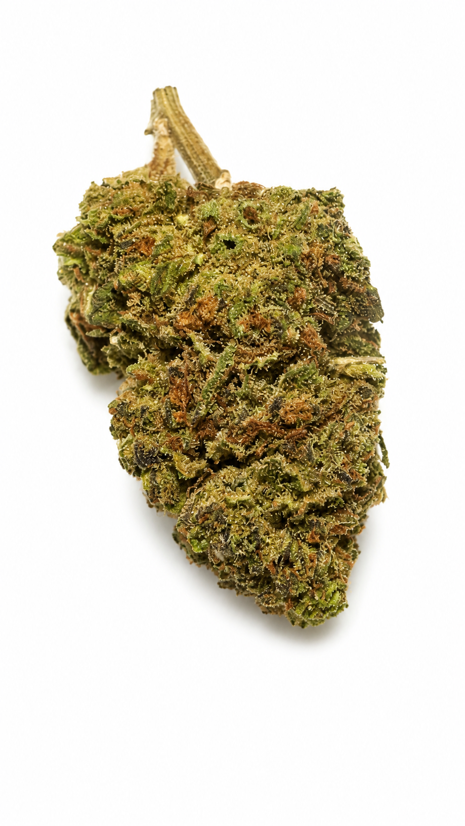 Blueberry Muffin