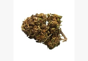 Harlequin Outdoor 12%