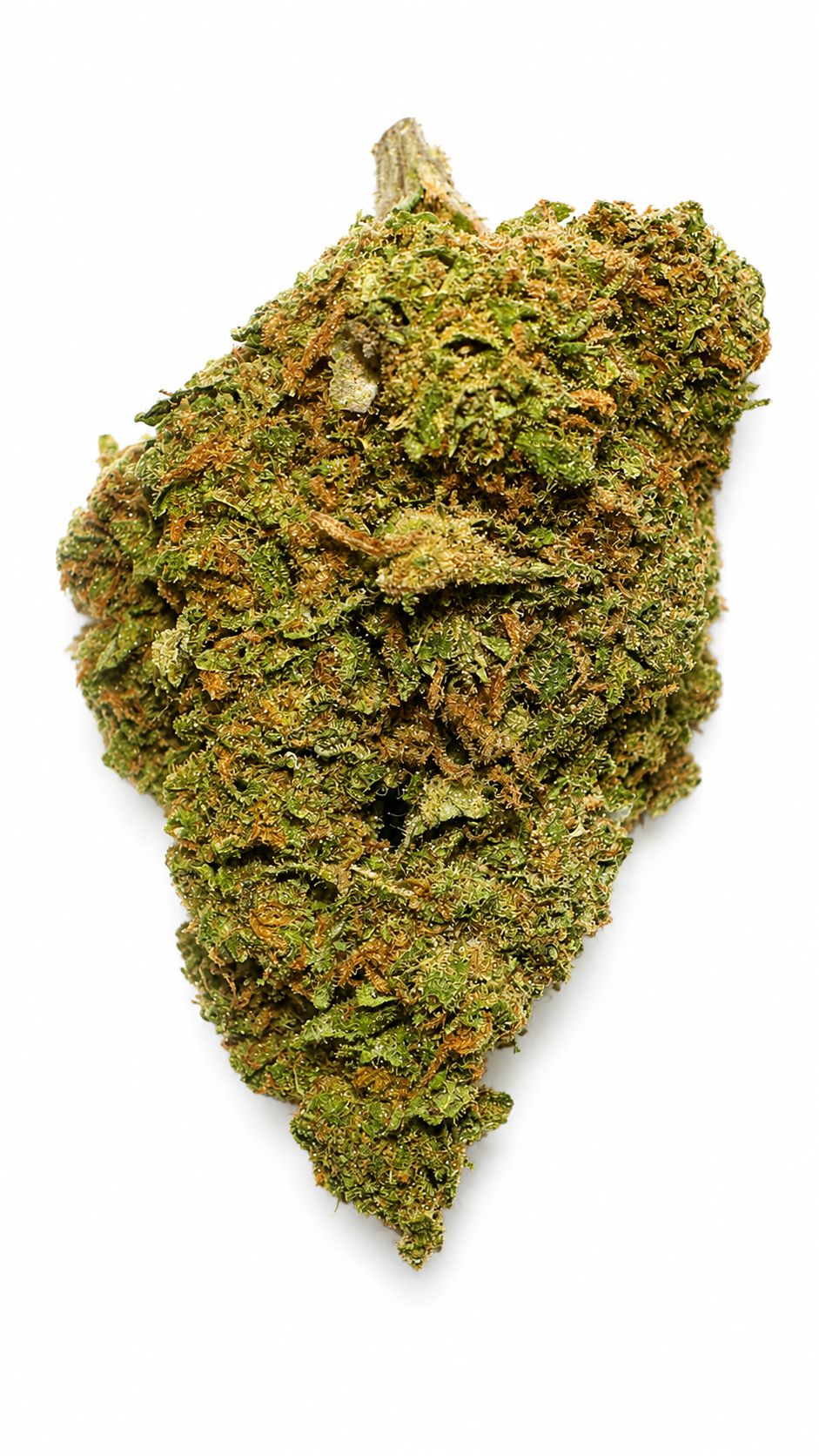 Amnesia
