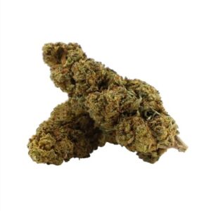 Tropical Haze Outdoor 12%