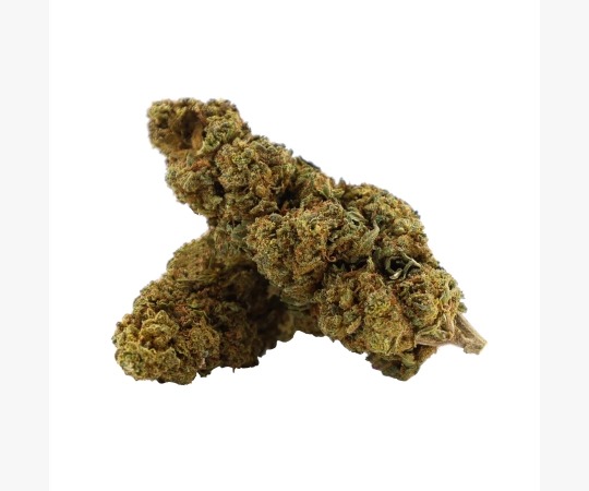 Premium Flower